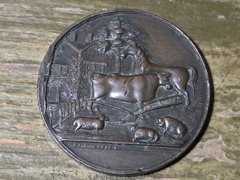 1855 Dungannon Farming Society Medal Mullaboden House Kildare Dublin Ireland
