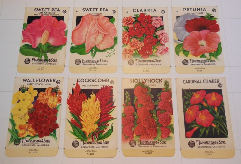 8 Vintage FLOWER SEED PACKS (S58)-Schmidt Litho-Lagomarsino-3 1/4″ x 5″-Clarkia