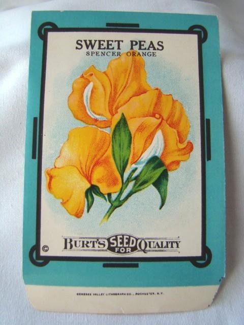 Antique SWEET PEAS ‘BURT’S SEED’ Flower Seed PACKET, Country Store, Unused