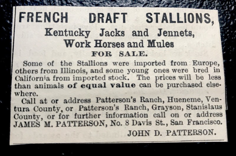 1886 Kentucky Jacks & Horse Farm Advertising – San Francisco – California