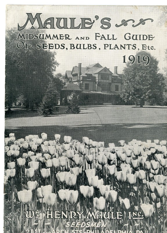 Maule’s 1919 Mid-Summer & Fall Guide Seed Book Philadelphia Seeds Plants Bulbs