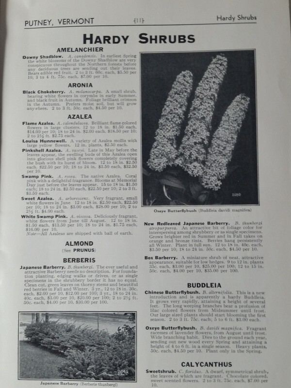 1933 Trees and Plants From Vermont Catalog Putney, Vermont George D. Aiken gallery