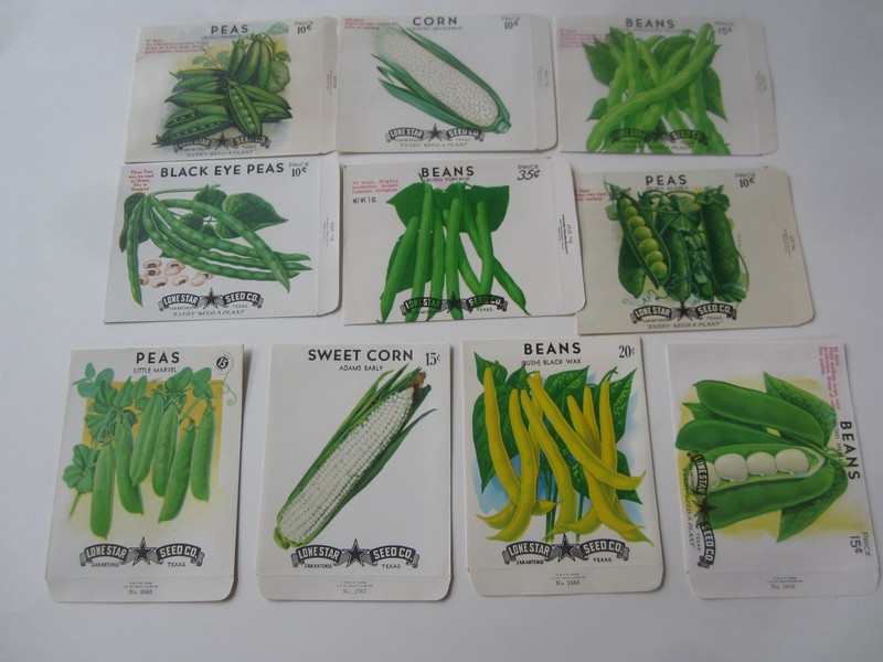 Lot of 10 Old Vintage – BEANS – PEAS – CORN – SEED PACKETS – EMPTY