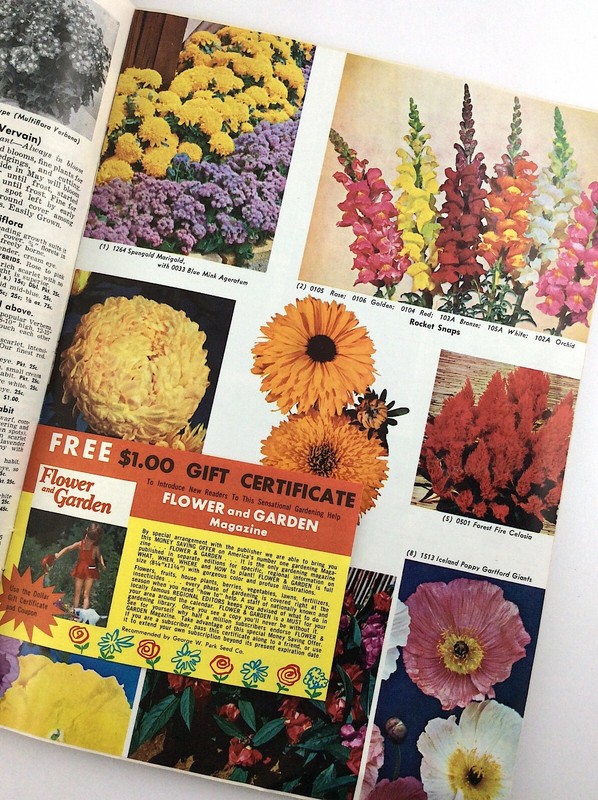 Parks Flower Book 1962 Greenwood South Carolina Garden Seed Catalog Q364 gallery