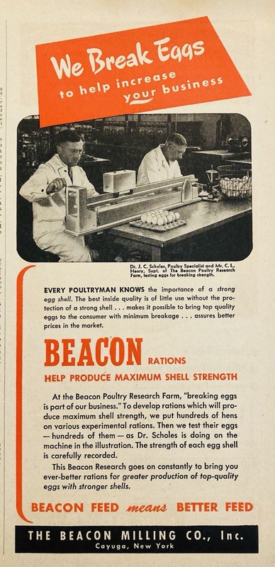 1948 AD.(XH86)~BEACON MILLING CO. CAYUGA, NY. BEACON POULTRY FEED