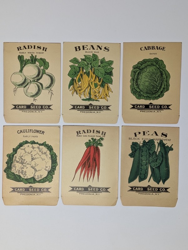Lot of Six Card Seed Company Antique Seed Packets from Fredonia, N.Y. Farm Decor