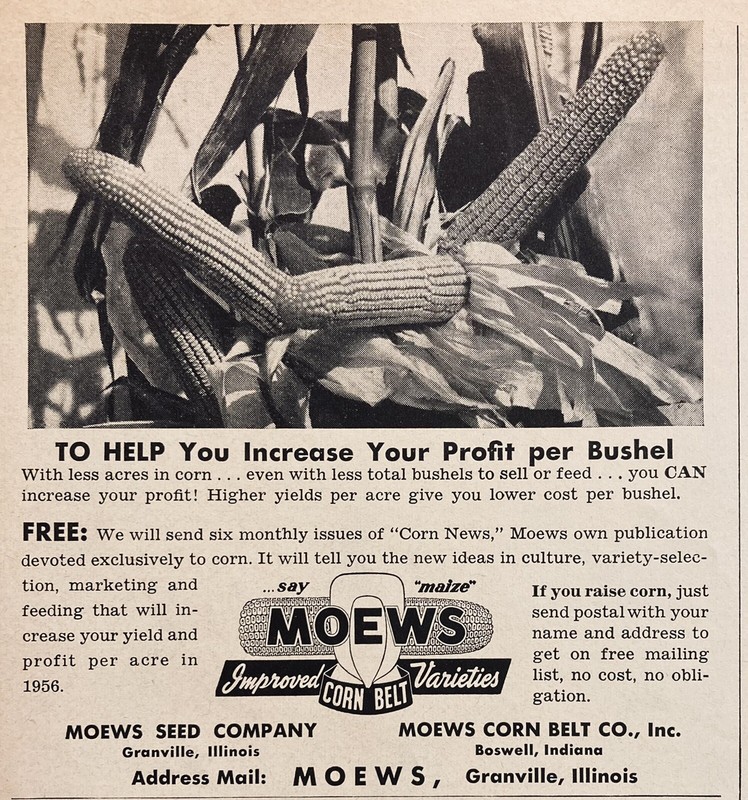 1955 AD.(XH57)~MOEWS SEED CO. GRANVILLE, ILL. MOEWS CORN BELT SEED VARIETIES