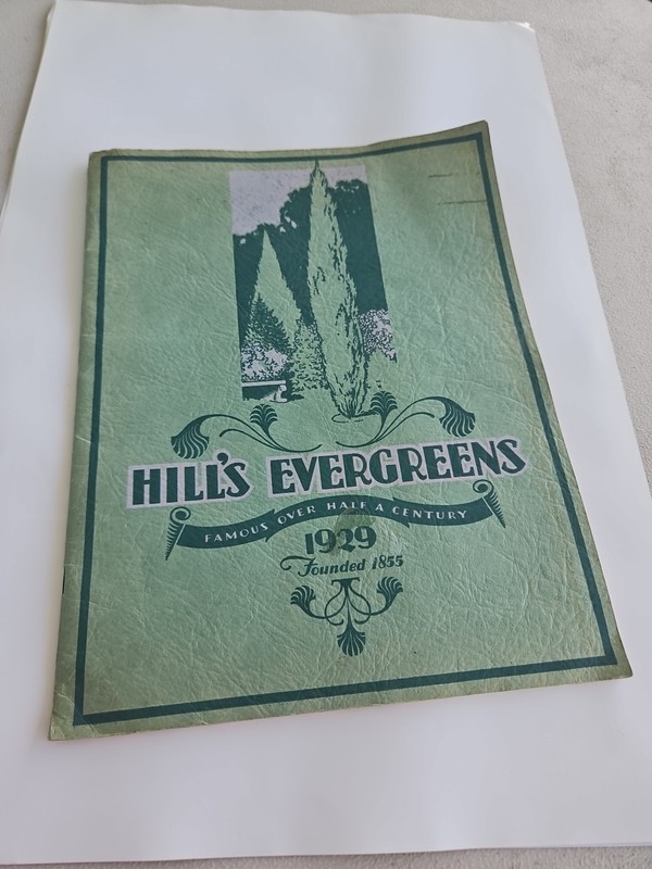 Hill’s Evergreens 1929 40 Page Catalog. 9.5″x12.5″ W/Order Sheet Dundee Illinois