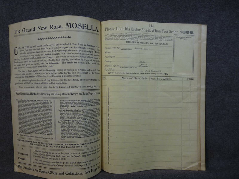 Original 1898 Geo. H. Mellen Co. Rose And Flowers & Seed Packet Catalogue gallery