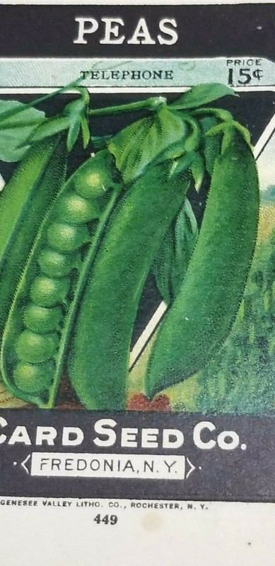 Vtg UNUSED CARD SEED BOX Telephone Peas GREAT LITHO ART Fredonia NY A6 gallery