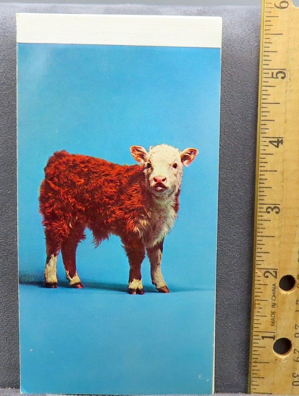 ELANCO Note Book Pad 