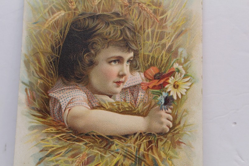 1890s Milwaukee Harvester Co. Farm Implements Ad Trade Card Mifflinburg Pa gallery