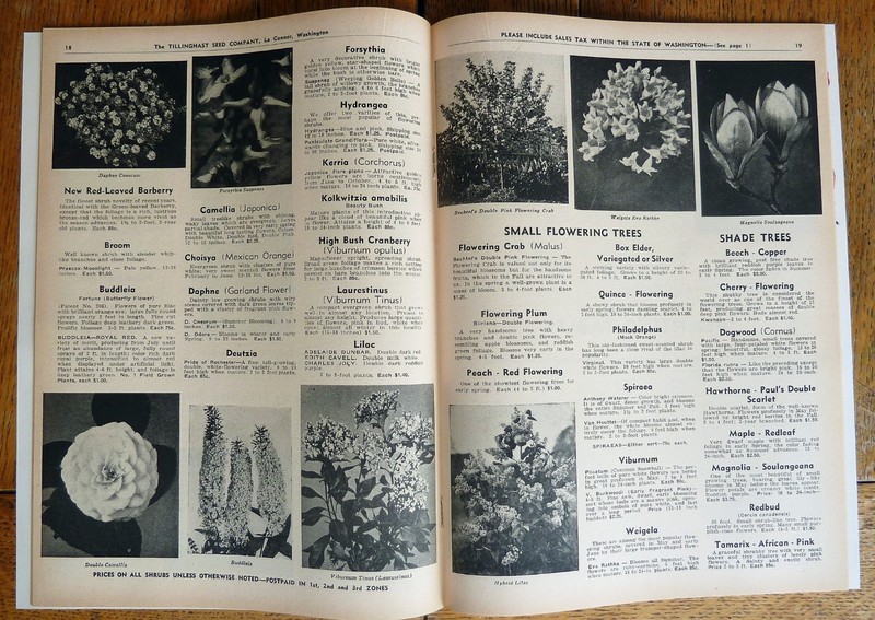 Vintage Tillinghast Seed Co. Large Catalogs, La Conner, Wa., 1944-1967-1977-1983 gallery