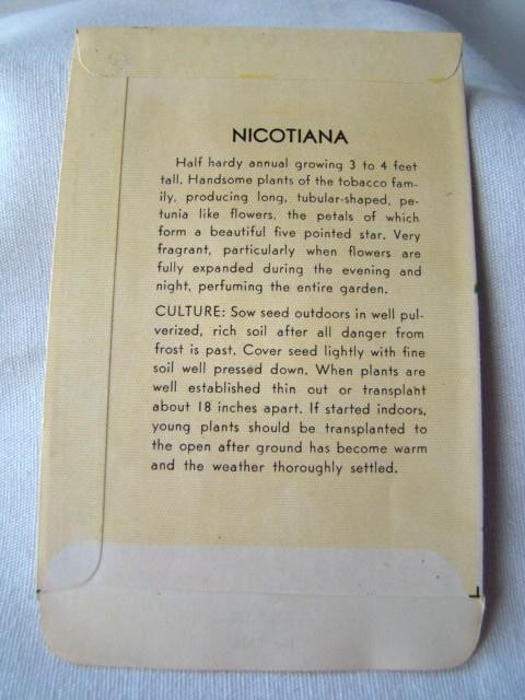 Vintage NICOTIANA, F. Lagomarsino Sons Flower Seed PACKET Country Store, Unused gallery