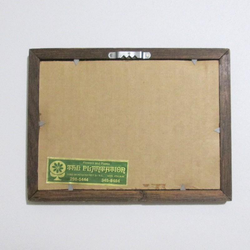 Vintage Framed Nasturtium Seed Packet 5 Cent The Plantation New Mexico gallery