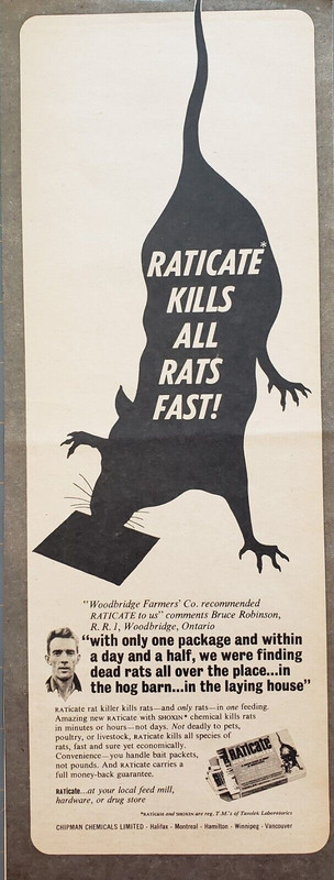 1966 Raticate Gets Rid Of All Rats Fast With Only One Package Print Ad