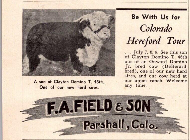 1948 Print Ad F.A Field & Son Parshall CO Colorado Hereford Tour Herd Sire Bull
