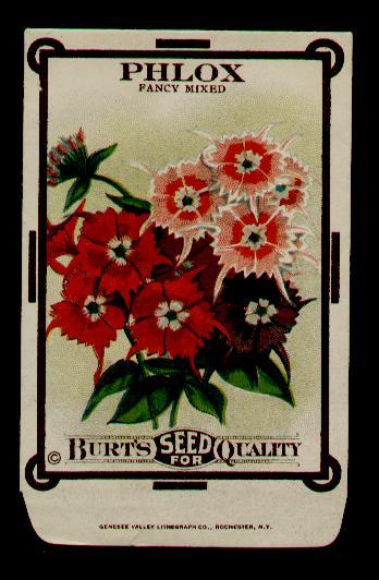 1910’s BURT’S PHLOX ANTIQUE LITHO SEED PACKET ~L@@K~