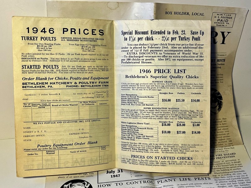 Group Vtg Antique Farm Poultry Chicken Magazines catalog gallery