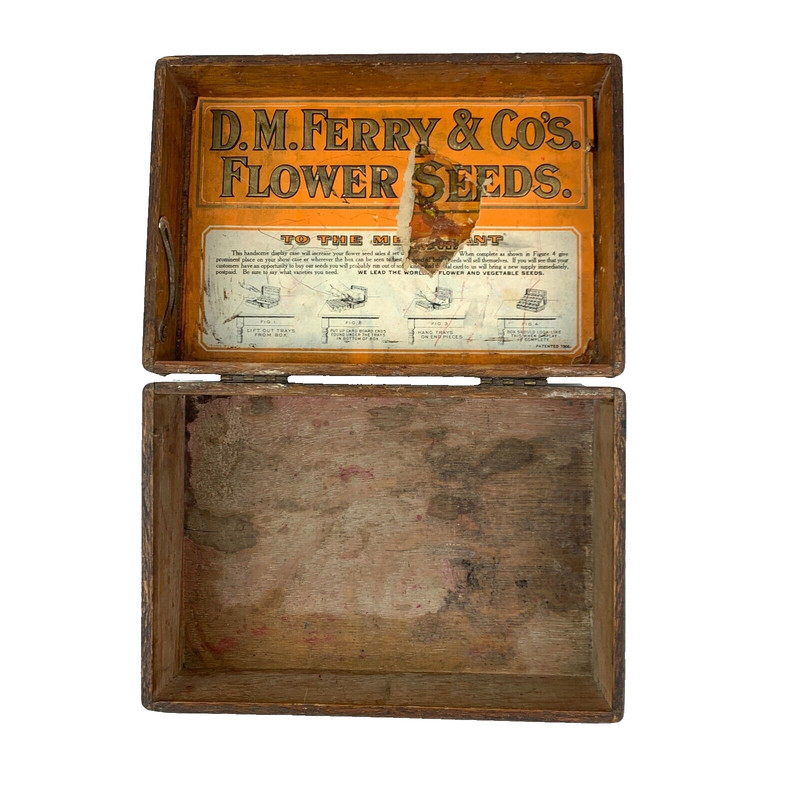 Antique 1906 D.M. Ferry & Co’s Flower Seed Oak Hinged Box General Store Display