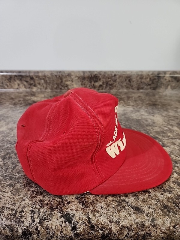 Vtg Black Hills Stock Show Rodeo Winston Snapback Trucker Hat gallery