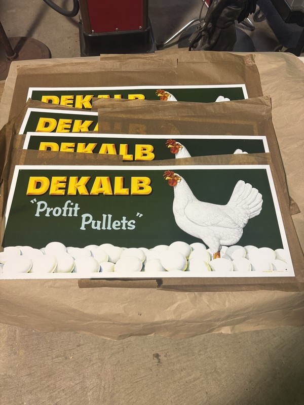 dekalb chicken sign tin metal