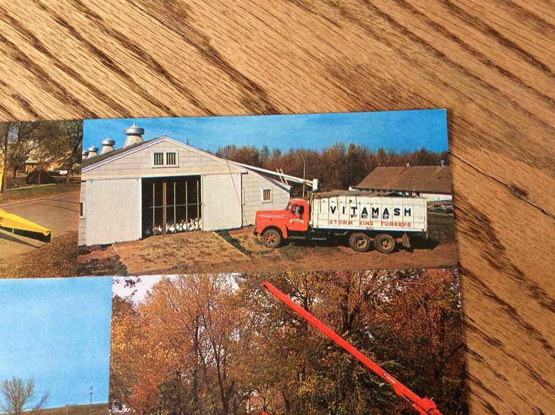 Advertising Stotts Grain Feed Rockwell City Simonsen Quimby Iowa Trucks FAMILY? gallery