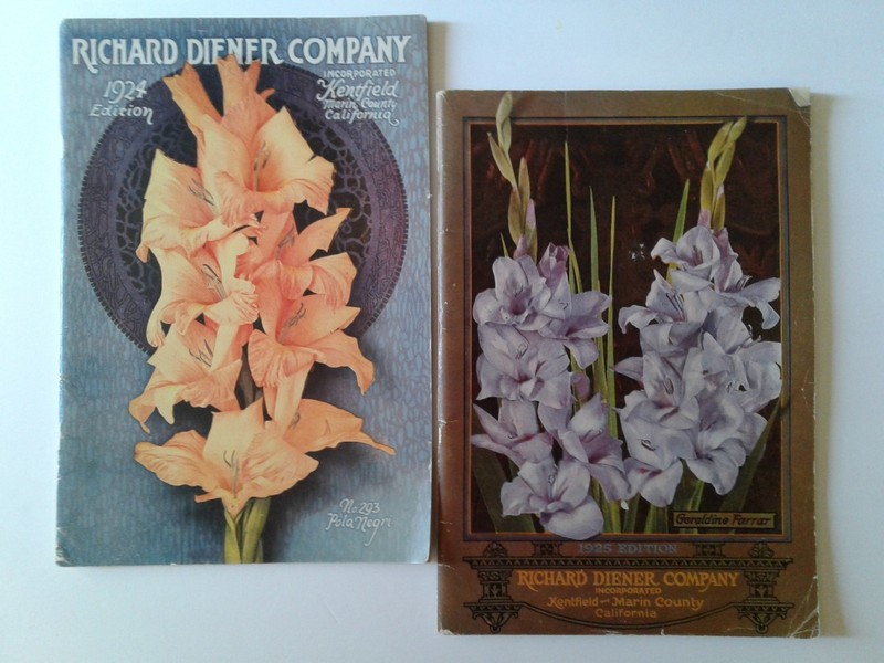 Vintage Garden Richard Diener Company Flower Catalogue.