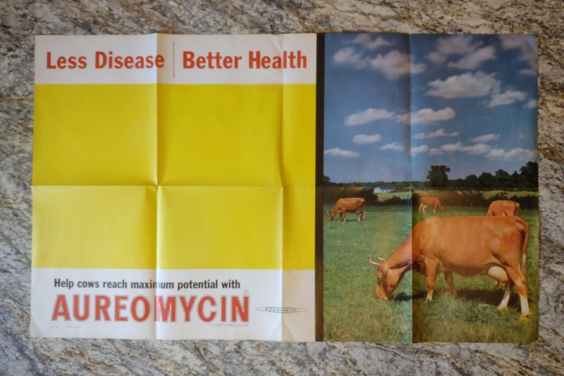 Vintage Advertising Cattle Aureomycin Cynamid Farm Cow Poster #1222-25M-AO-3/58 gallery
