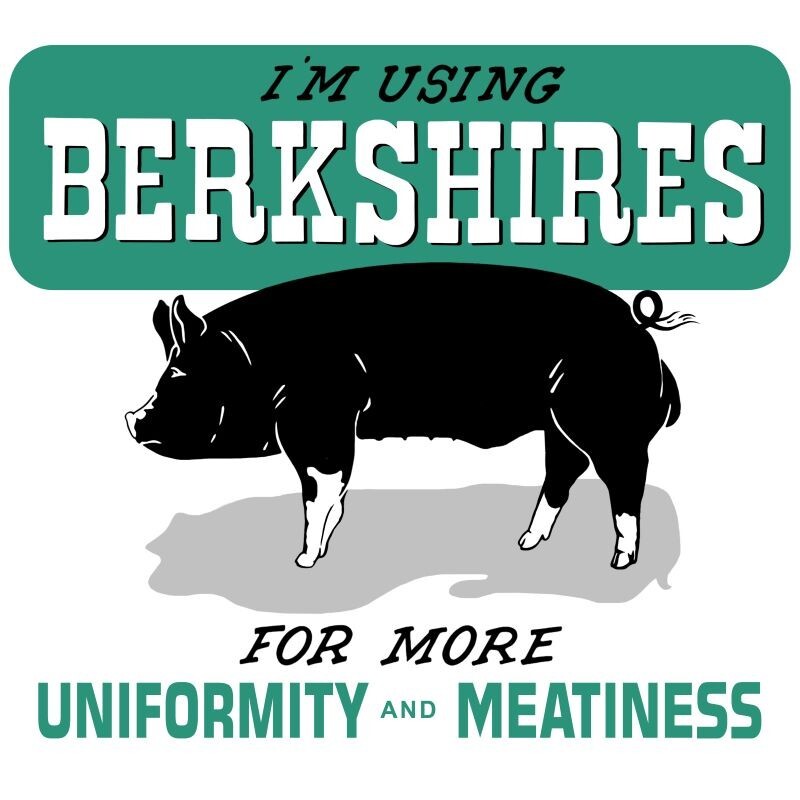 Berkshire Pigs for more Meatiness NEW Metal Sign 28″ Square USA STEEL 6 lbs.
