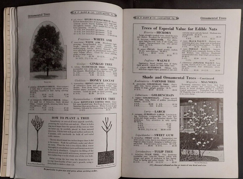1924 Barr's Nursery Catalog BF Barr Lancaster Ornamental Trees Shrubs Perennials gallery