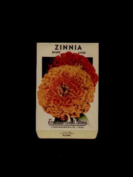 1930’s ZINNIA GIANT MIXED LITHO SEED PACKET- EVERITT’S SEED, INDIANAPOLIS, IND