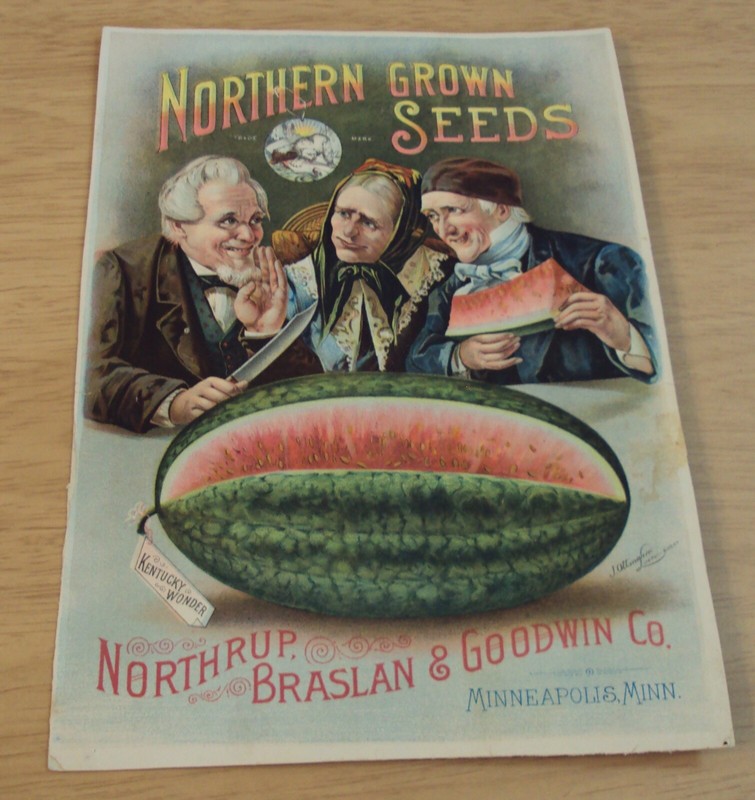 RARE circa 1890 LARGE Seeds ADVERTISING Card~”NORTHRUP, BRASLAN & GOODWIN”