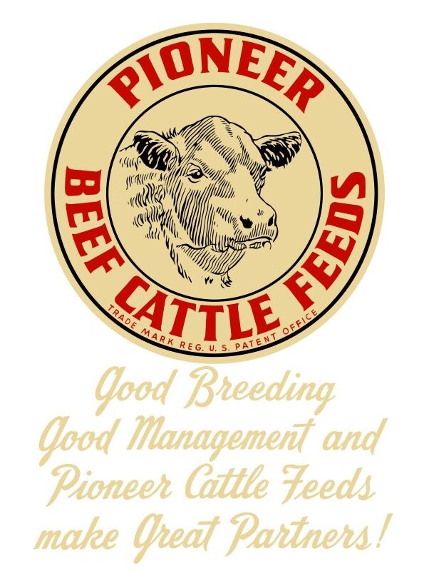 Pioneer Beef Cattle Feeds NEW Sign: 30×40″ USA STEEL XXL Size