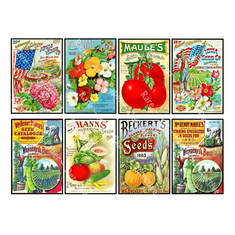 Seed Packet Catalog REPRODUCTIONS, Antique Garden Journal Decor, 1 Sticker Sheet