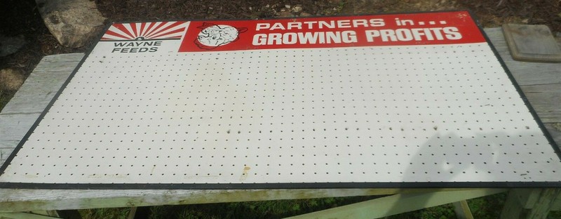 Vintage WAYNE FEEDS COW PIG CHICKEN Advertising PEG BOARD Store Display SIGN