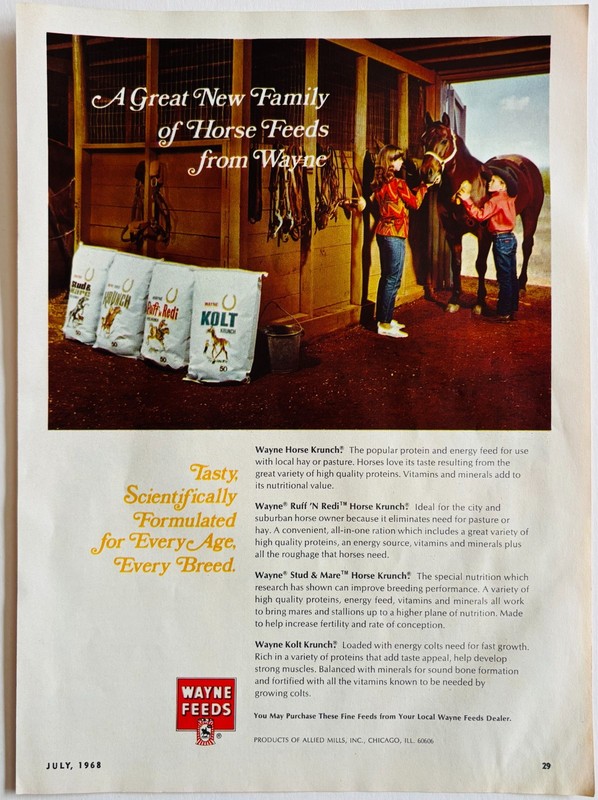 1968 Wayne Feeds Horse Food Advertisement Western Horseman Vintage DWP9C gallery