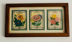 Vintage Burts Seed Pack Framed Wall Art COA American Antique Graphic Society 14”