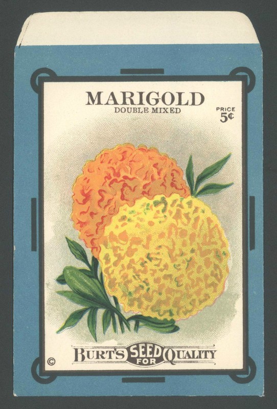 *Original* BURTS SEED Packet 5 Cent MARIGOLD Flower 1910’s *RARE*