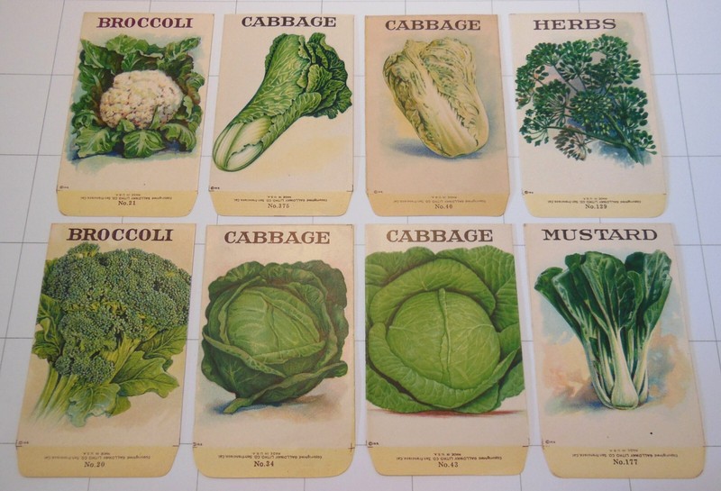 8 Vintage SEED PACKETS (G13)-Galloway Litho Co-2 3/4″x4 3/8″-Broccoli-Cabbage