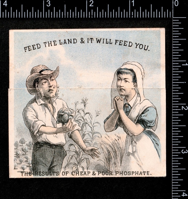 Fantasy Farm Buffalo Bone Fertilizer 1880 Calendar Victorian Trade Card SR.f.fBP gallery