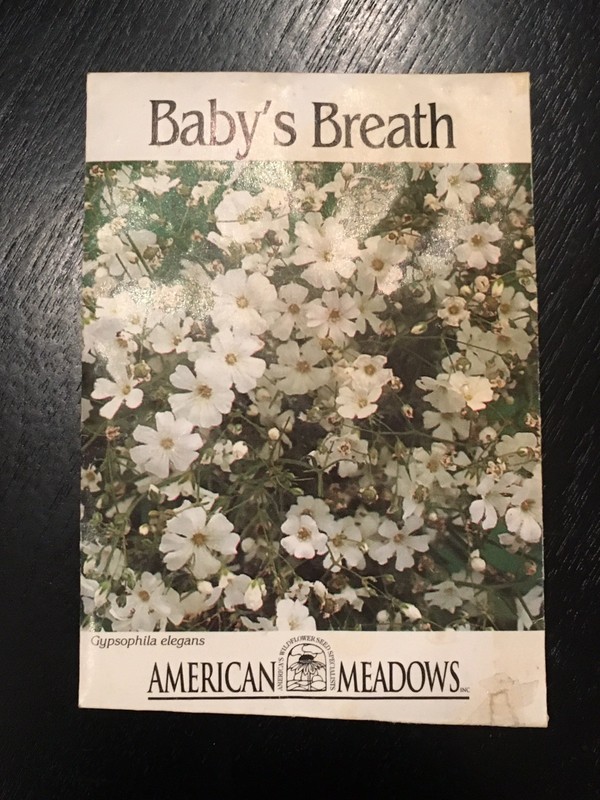 vintage seed pack American Meadows baby’s breath