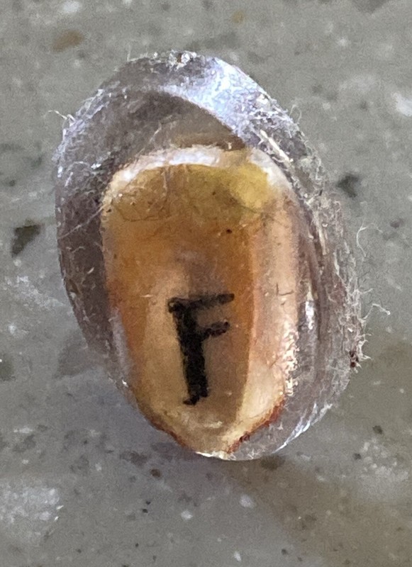 Vintage Corn Seed Lapel Hat Pin Tie Tack With Real Kernel Of Corn