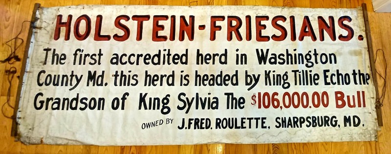 1920’s HISTORIC HOLSTEIN FRESIAN ADVERTISING FARM BANNER SIGN KING SYLVIA BULL