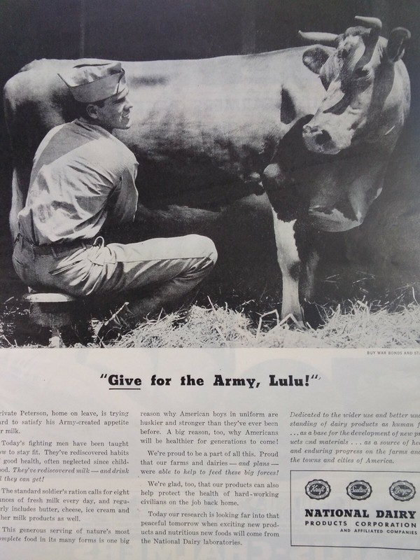 Dairy Cow Print Ad Original Rare Vtg 1940s WW2 US Army Allis Chalmers Tractor