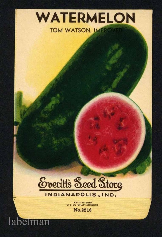 WATERMELON, Tom Watson, Everitt’s Antique Seed Packet, Kitchen Decor, 152