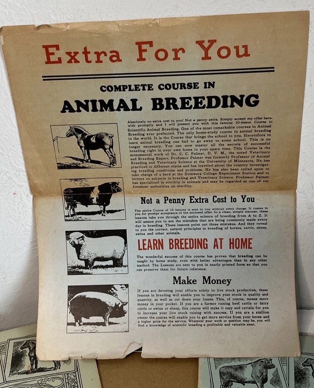 Horsemanship 1961 Beery School Animal Breeding Course Partial Lesson Set