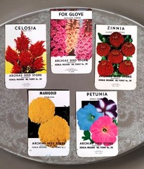 Lot: 5 Vintage Unused Lithographed Flower Seed Packets; Schmidt Litho Co. NOS