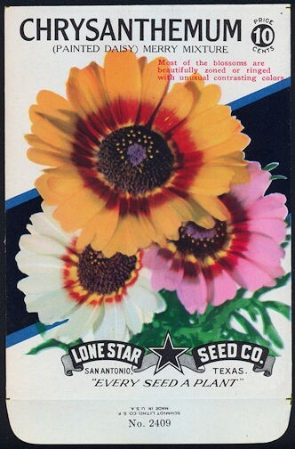 Flower Seed Pack Empty Lone Star Vintage 1940s Texas Chrysanthemum Painted Daisy