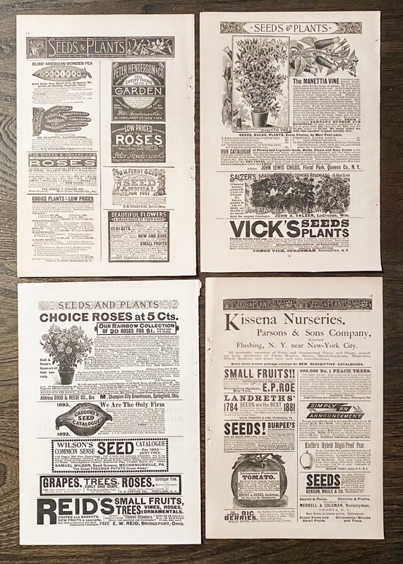 Flower&Plant Seed Companies ORIGINAL c1881-1893 Antique Multiple Print Ad Pages!
